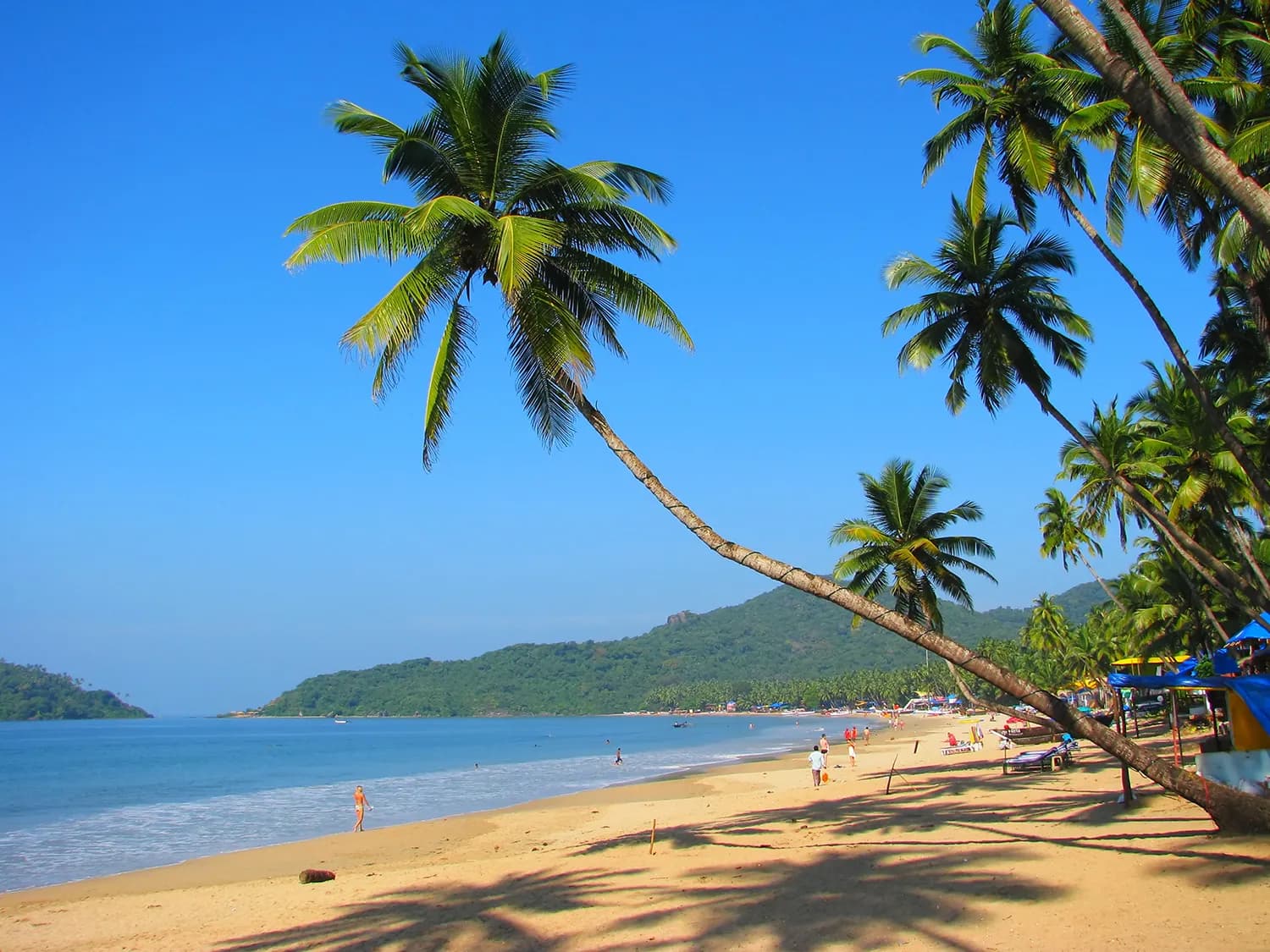 INDIA Trip